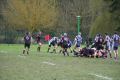 RUGBY CHARTRES 208.JPG